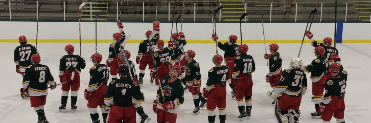 Vermont Lumberjacks banner