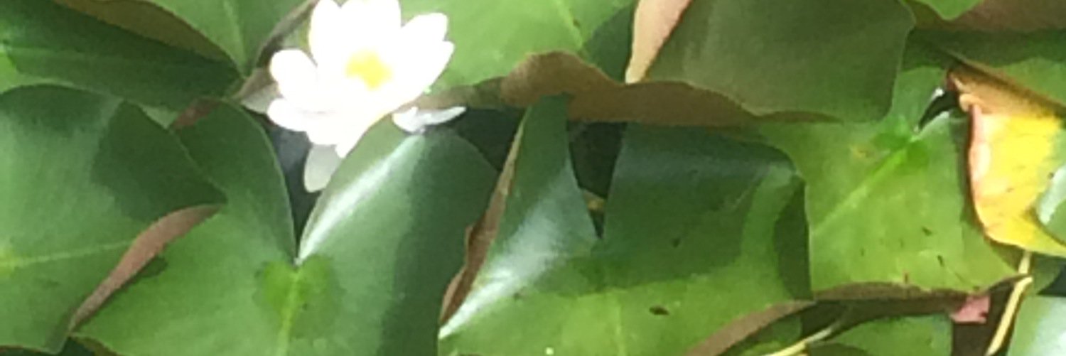 JustBeNicer's profile banner image