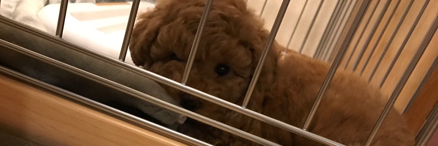 MymeloY's profile banner image