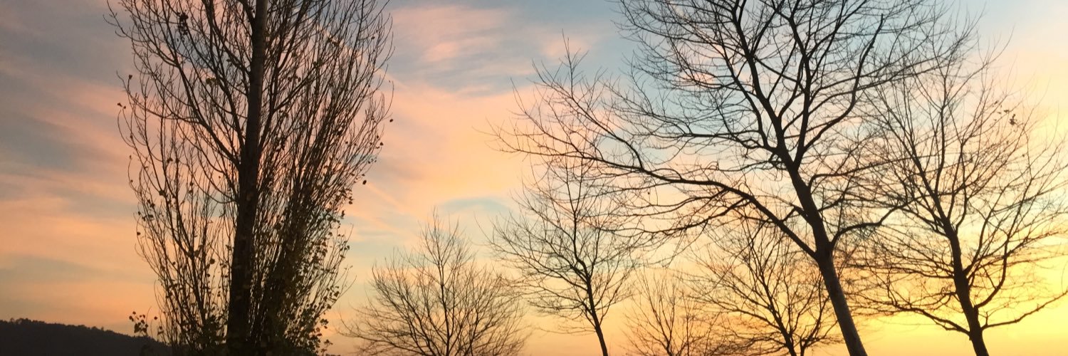 InesSants's profile banner image