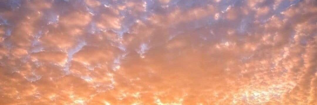 smiquelm's profile banner image