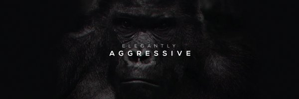 TeamAglet Profile Banner