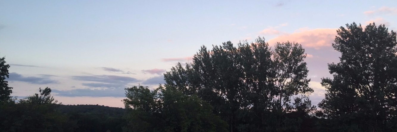 BareeNewton31's profile banner image
