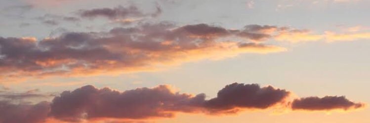 lorettaswanney's profile banner image
