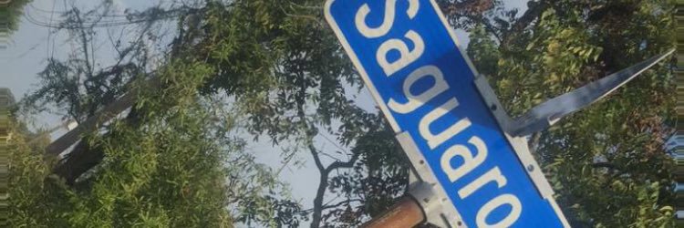 Spazzzzz_'s profile banner image