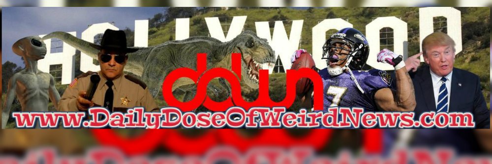 DailyDoseWeird's profile banner image