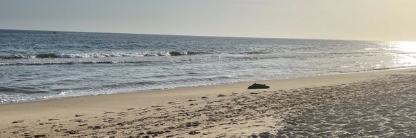 Miguelitoo88 Profile Banner