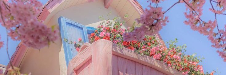 sellyyuldi's profile banner image