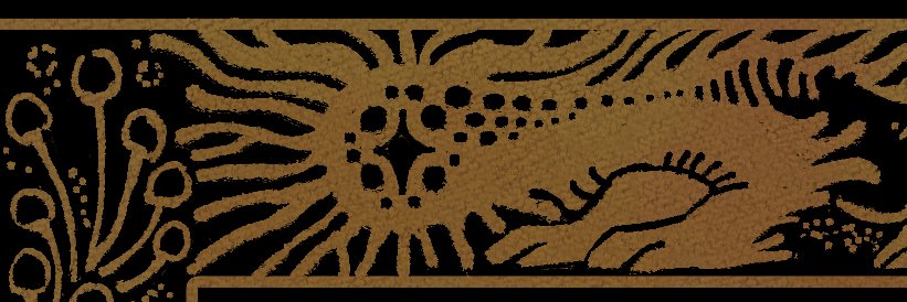 Chris H. 🍄 sutexii on bsky's banner