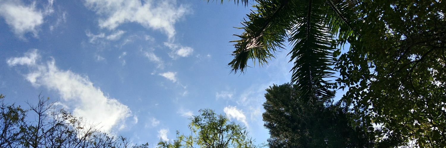 grubiubi's profile banner image