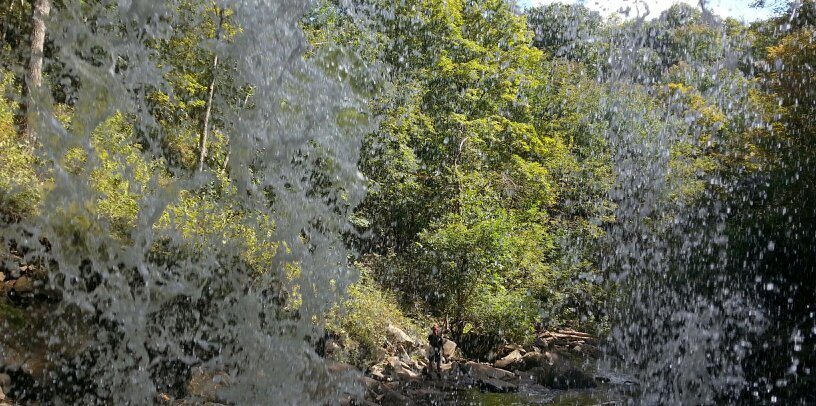 James Steeves banner