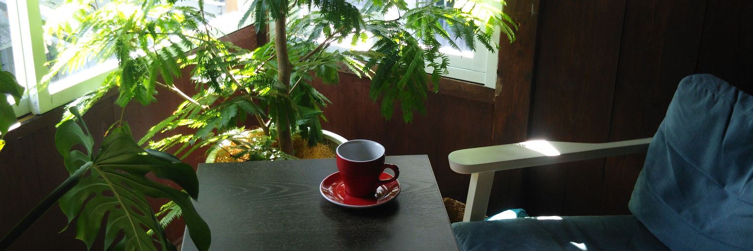 cafe_okinawa's profile banner image