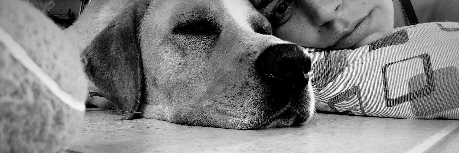 JuliEllena11's profile banner image