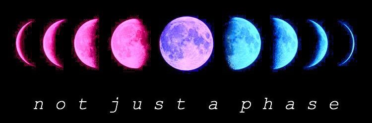 kittykittybluu's profile banner image