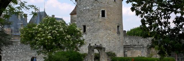 Montaigne banner