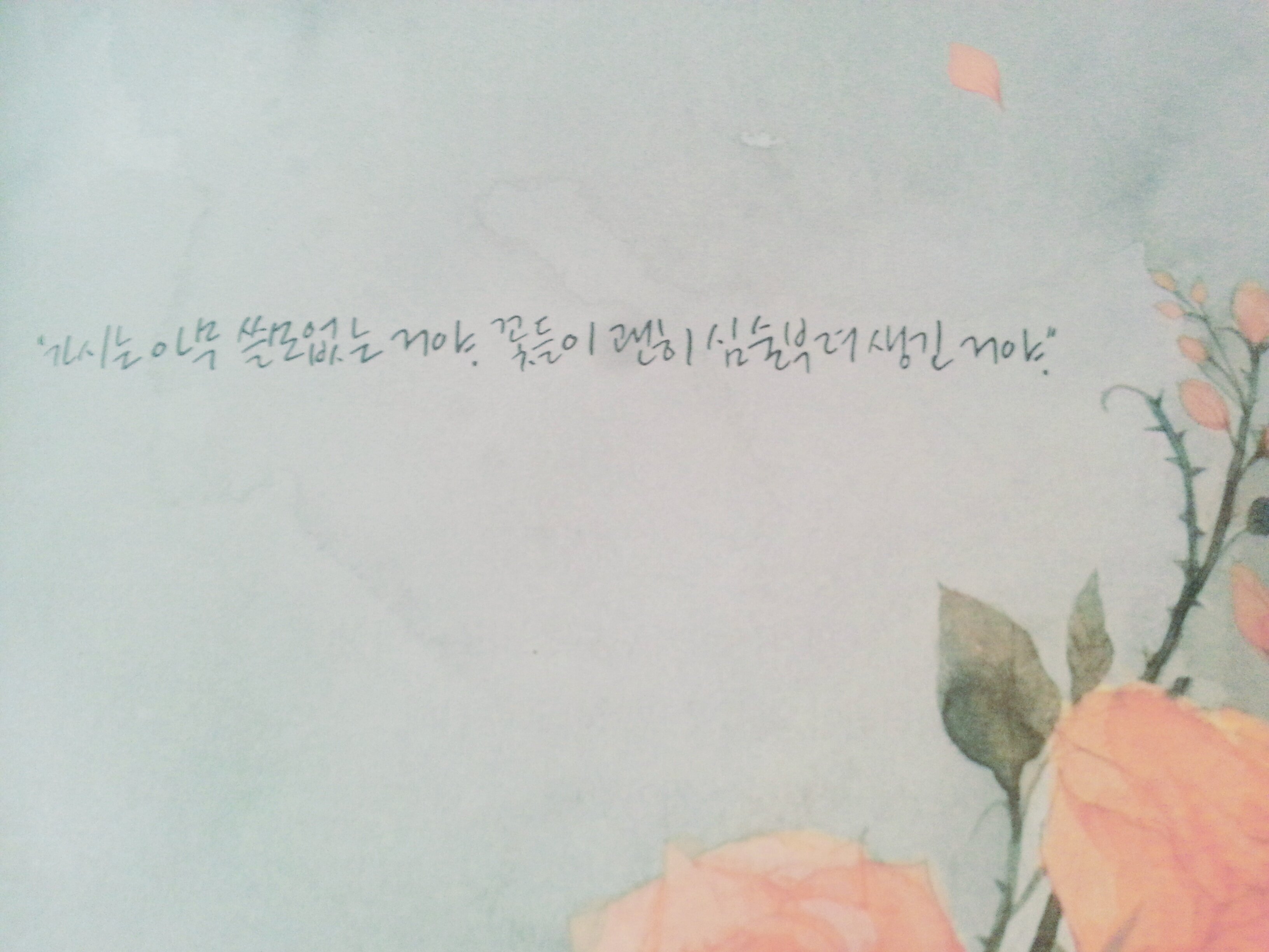 S_0208_2's profile banner image