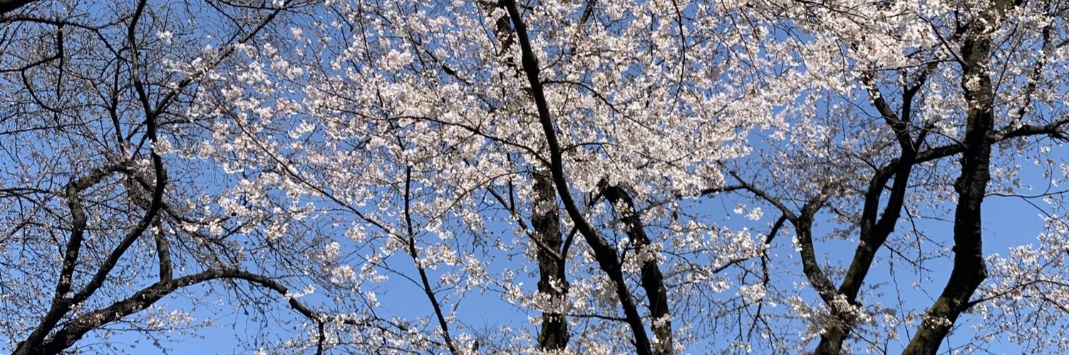 YUIZAEMONN's profile banner image