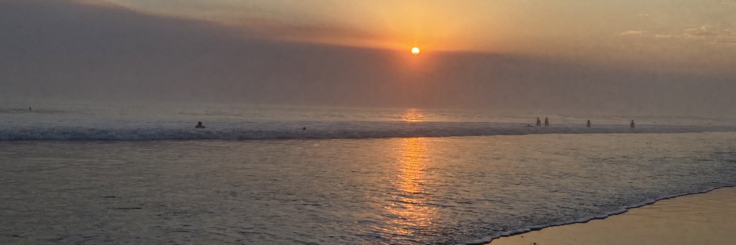 virixo_'s profile banner image