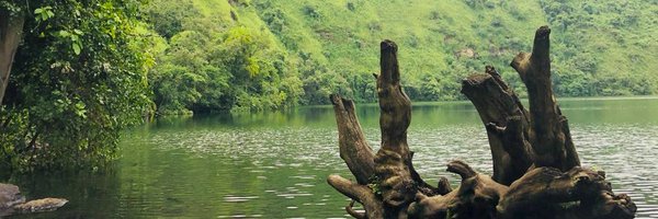 TresorNgom Profile Banner