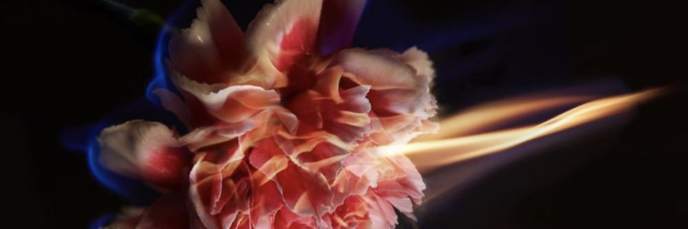 LilBadBitKay's profile banner image