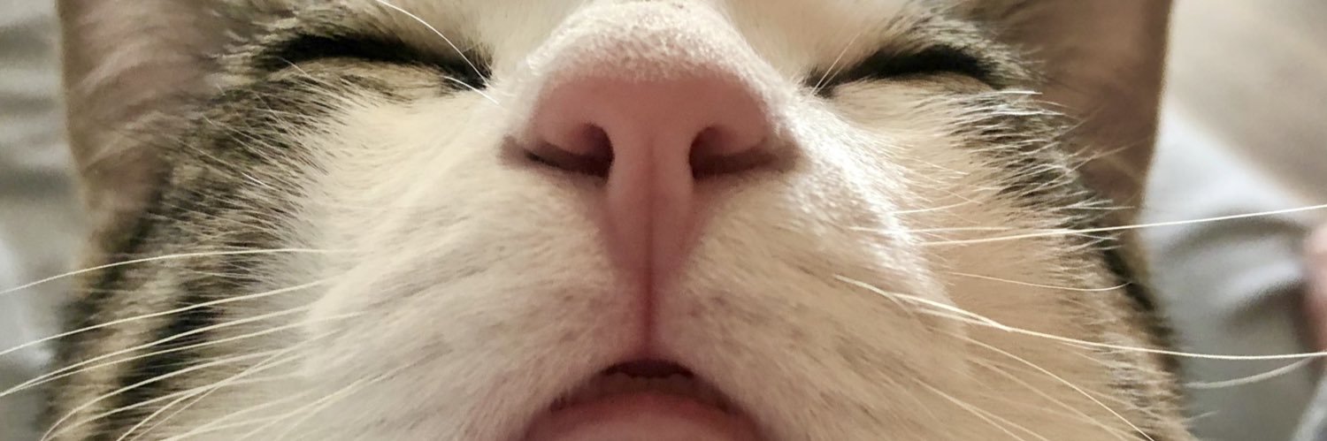 xx_ashleeee's profile banner image