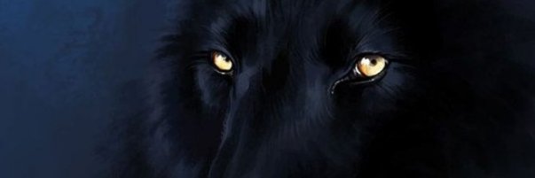 pasidon20's profile banner image
