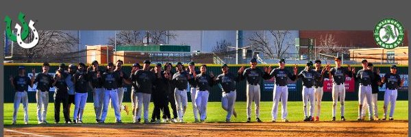 AHSColtBaseball Profile Banner