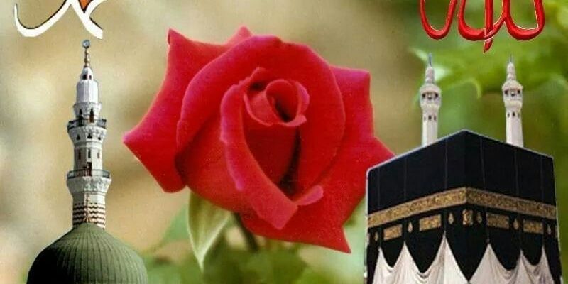 Medjamac2's profile banner image