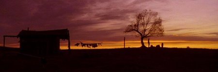 pedrobarbero's profile banner image