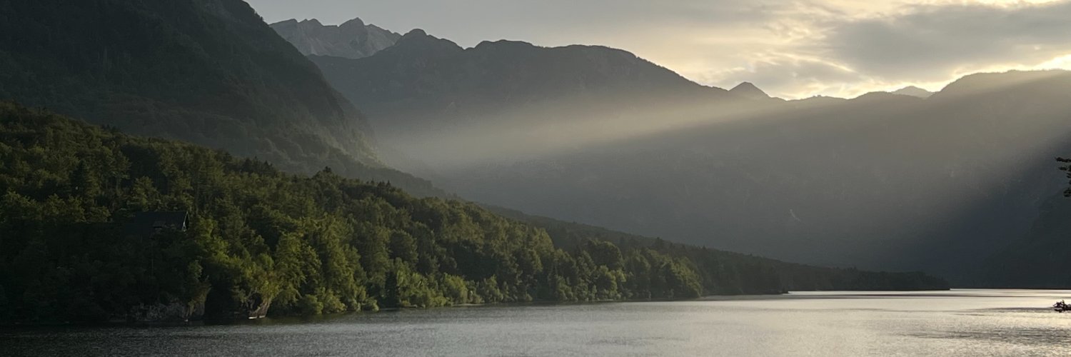 Àngel Mesado Jardí banner