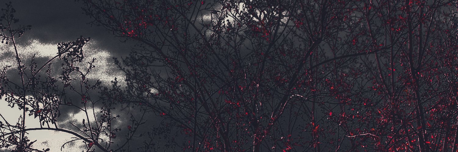 thebreque's profile banner image
