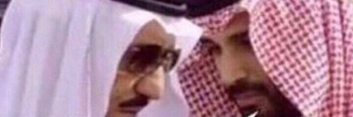 alhmdi331's profile banner image