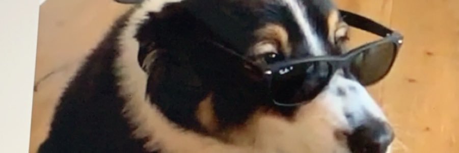 annebear123's profile banner image
