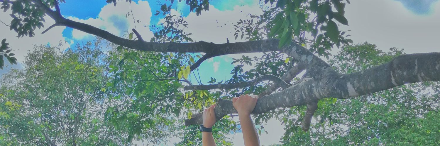TC8TB's profile banner image
