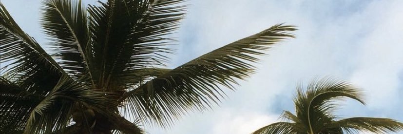 jackiemedranoxo's profile banner image