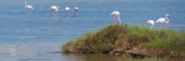 tjwasher Profile Banner