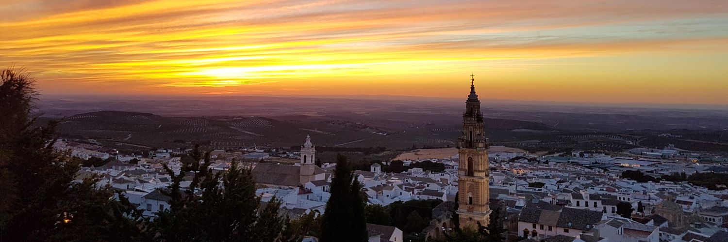 Pilar Fernández banner