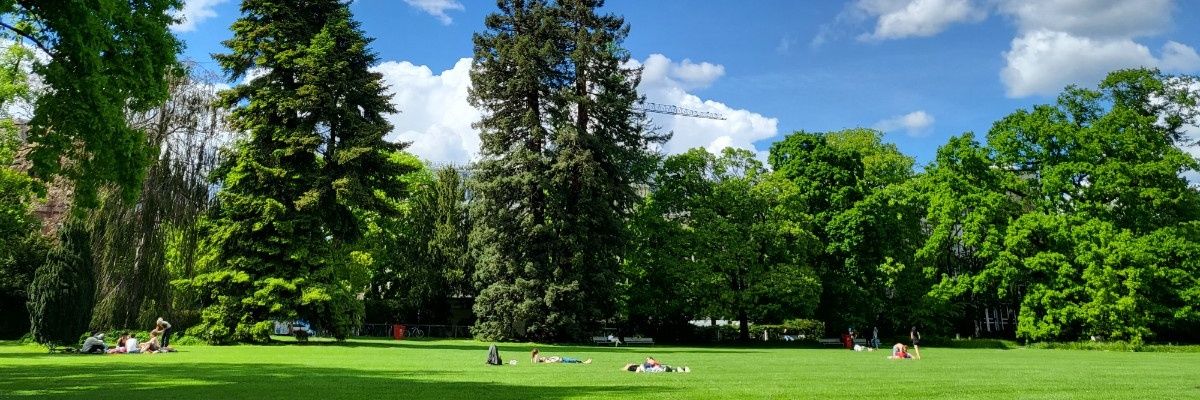 iamtomy_'s profile banner image