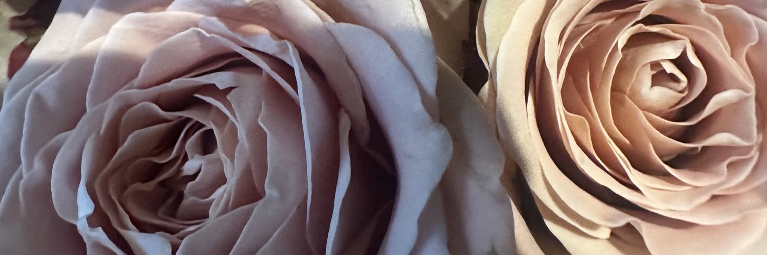 Rachchar90's profile banner image