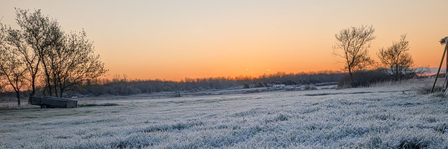 BareSack's profile banner image