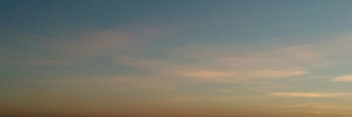 nanuu j singh's banner