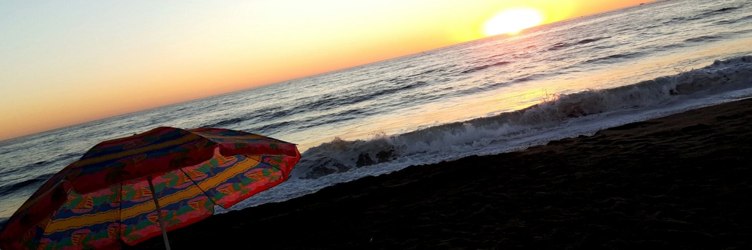 liazik banner