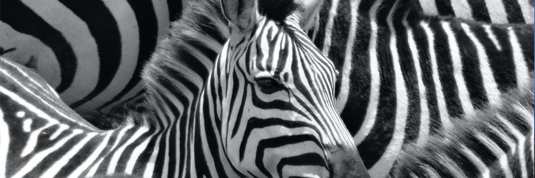 ShiftyMiser ✝ banner