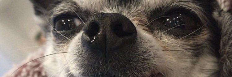 Martieeni's profile banner image