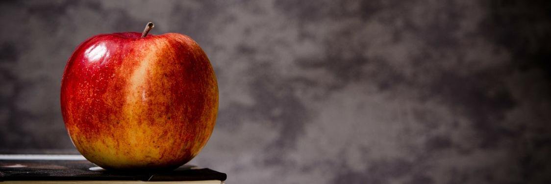 TeachForCzech's profile banner image