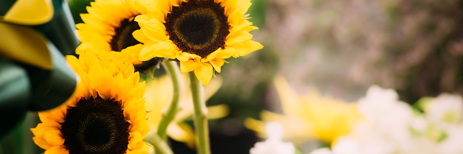 EdgewoodFlowers's profile banner image