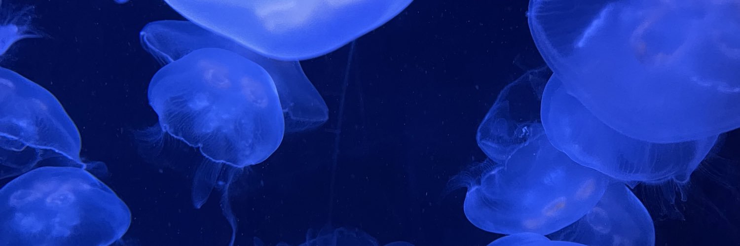 lynndado's profile banner image