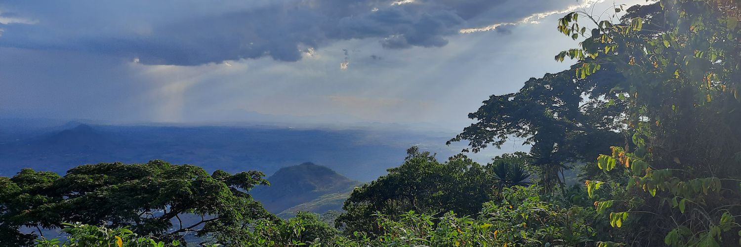 nikunjray's profile banner image