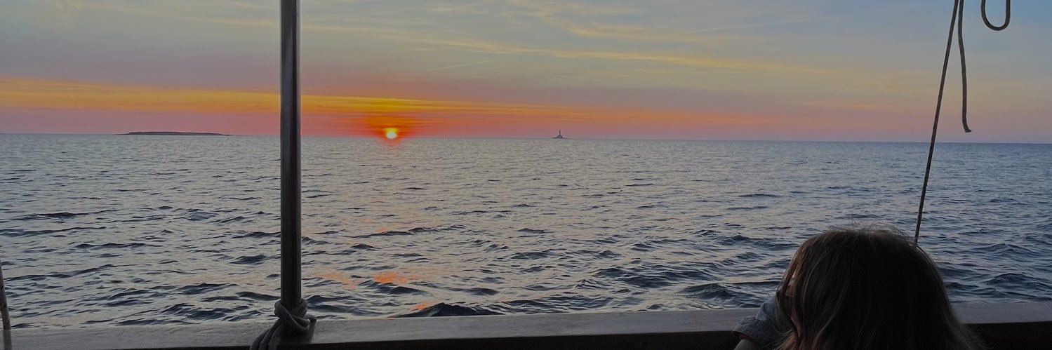 Nefryi's profile banner image