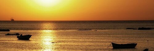 Sandra_C_F's profile banner image